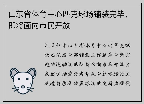 山东省体育中心匹克球场铺装完毕，即将面向市民开放